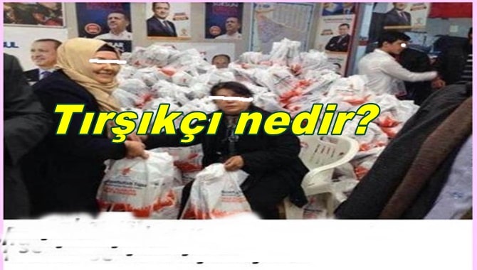 Tırşıkçı Ne Demek? Kürtçede Tırşıkçının Anlamı Nedir?